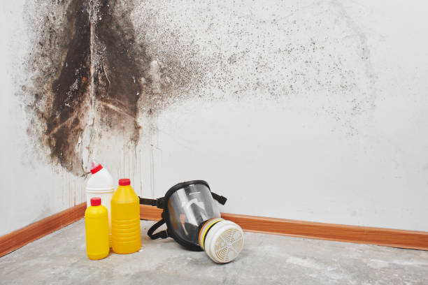 Best Residential Mold Removal  in Grass Valley, CA