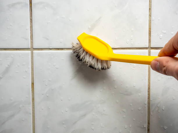 Best Black Mold Removal  in Grass Valley, CA