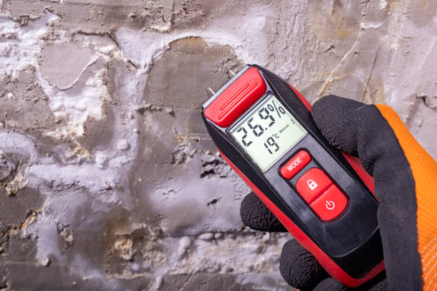 Best Office Mold Removal Services  in Grass Valley, CA
