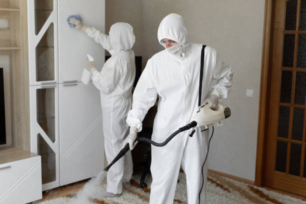Mold Removal Process in Grass Valley, CA