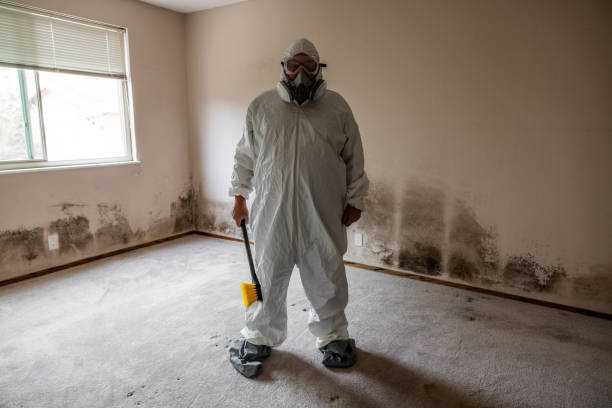 Best Mold Remediation  in Grass Valley, CA